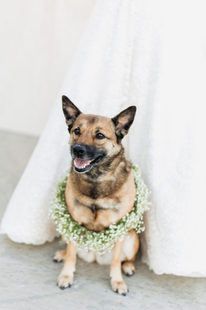 Hotel Avalon wedding photographer capturing a romantic Alpharetta wedding