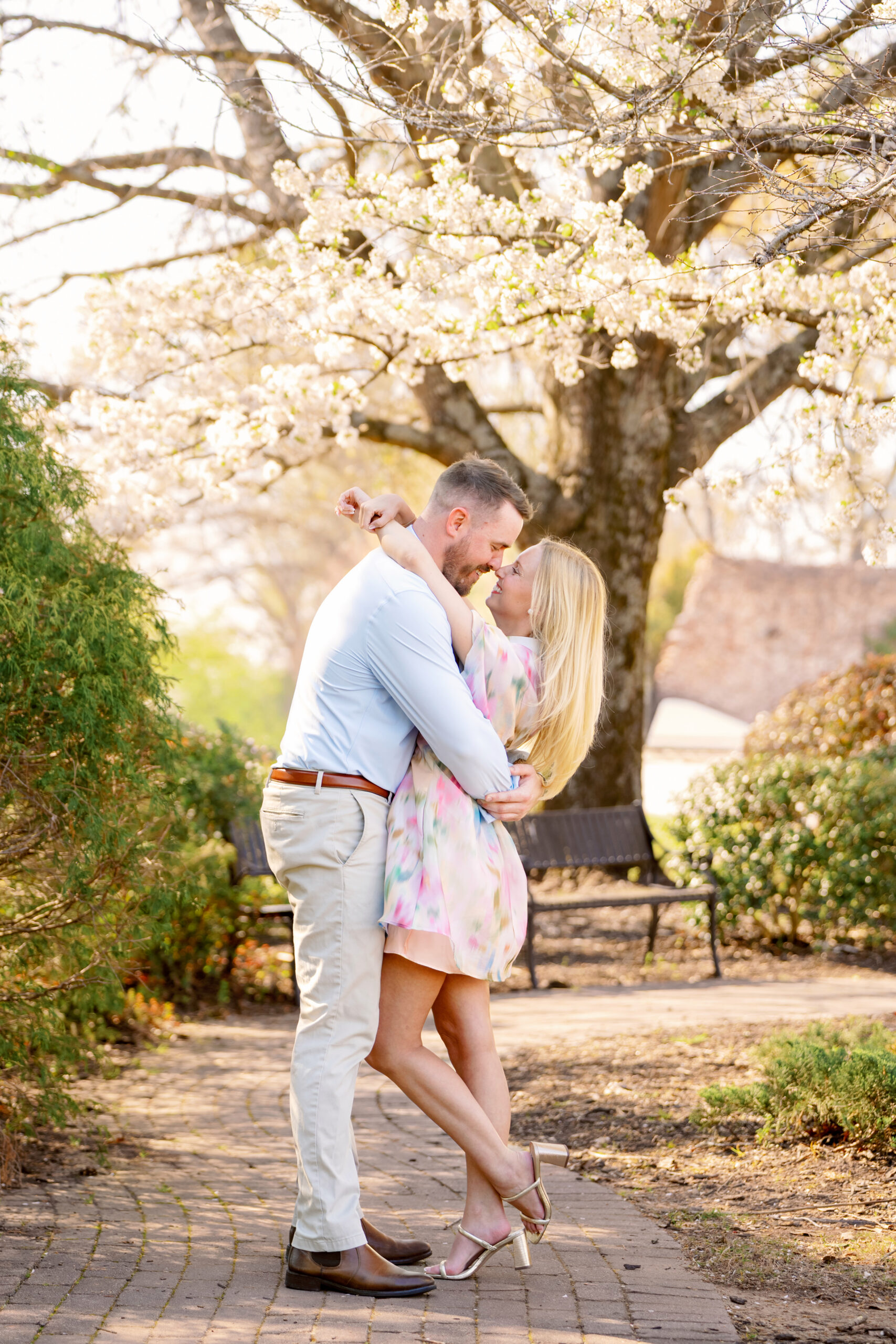 Newly engaged couple beneath white flowering trees