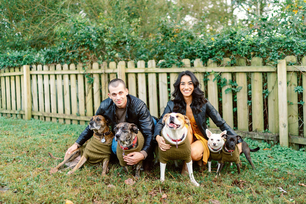 cozy home engagement