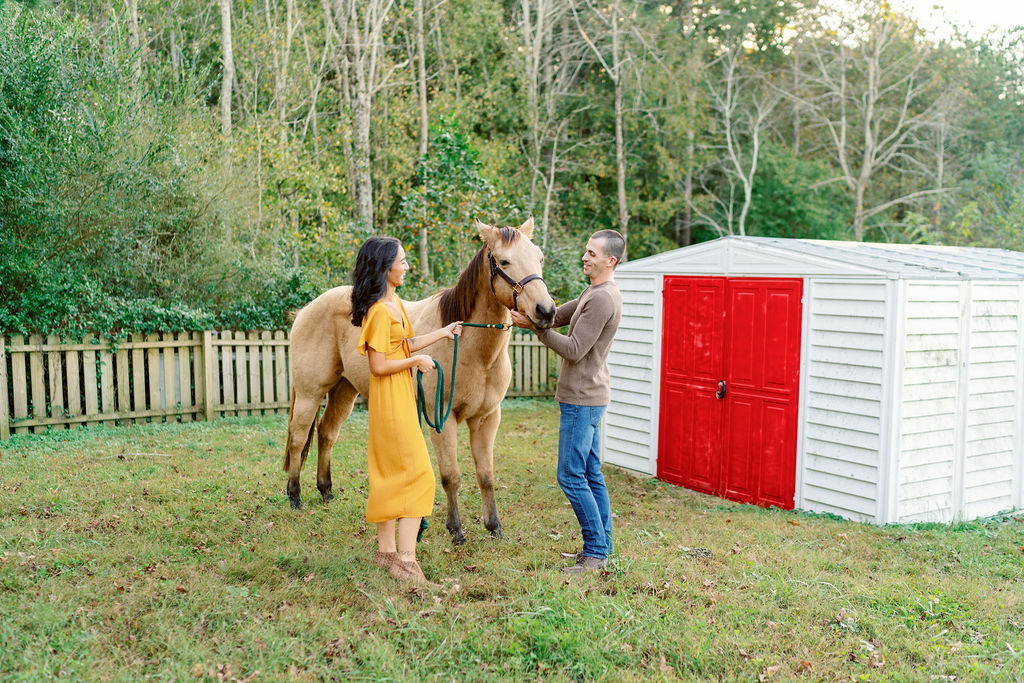 Horse engagement session