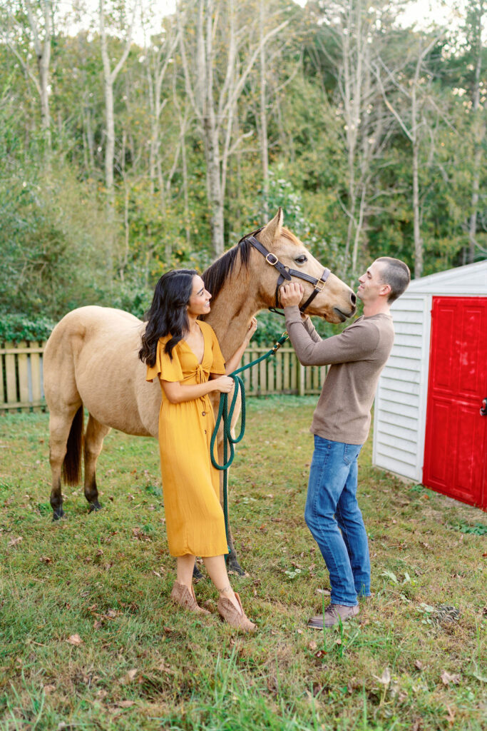 Horse engagement session