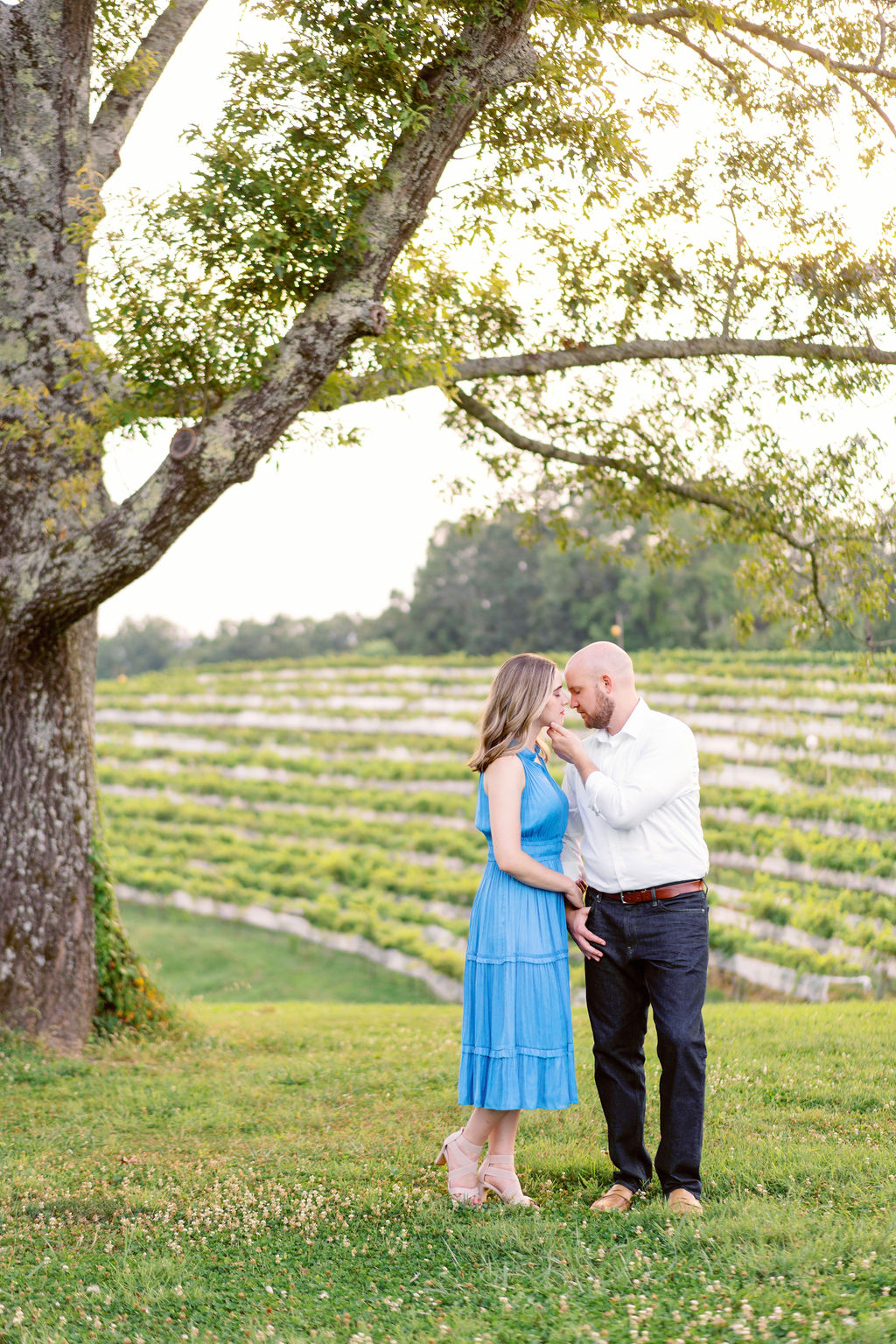 Montaluce Winery Engagement Gallery