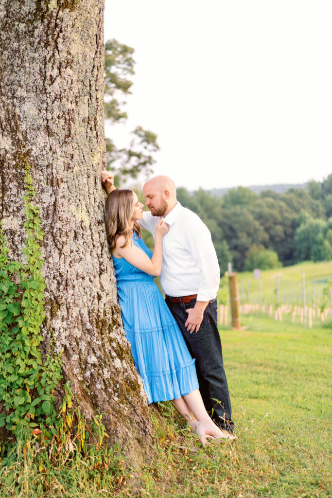 North georgia engagement